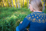 Pleiades Pullover